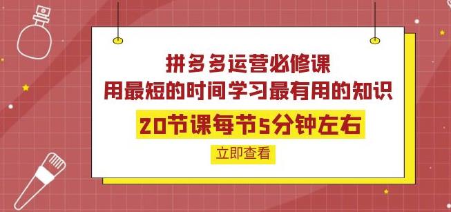 【金多多学堂】拼多多运营必修课：20节课每节5分钟左右，用最短的时间学习最有用的知识