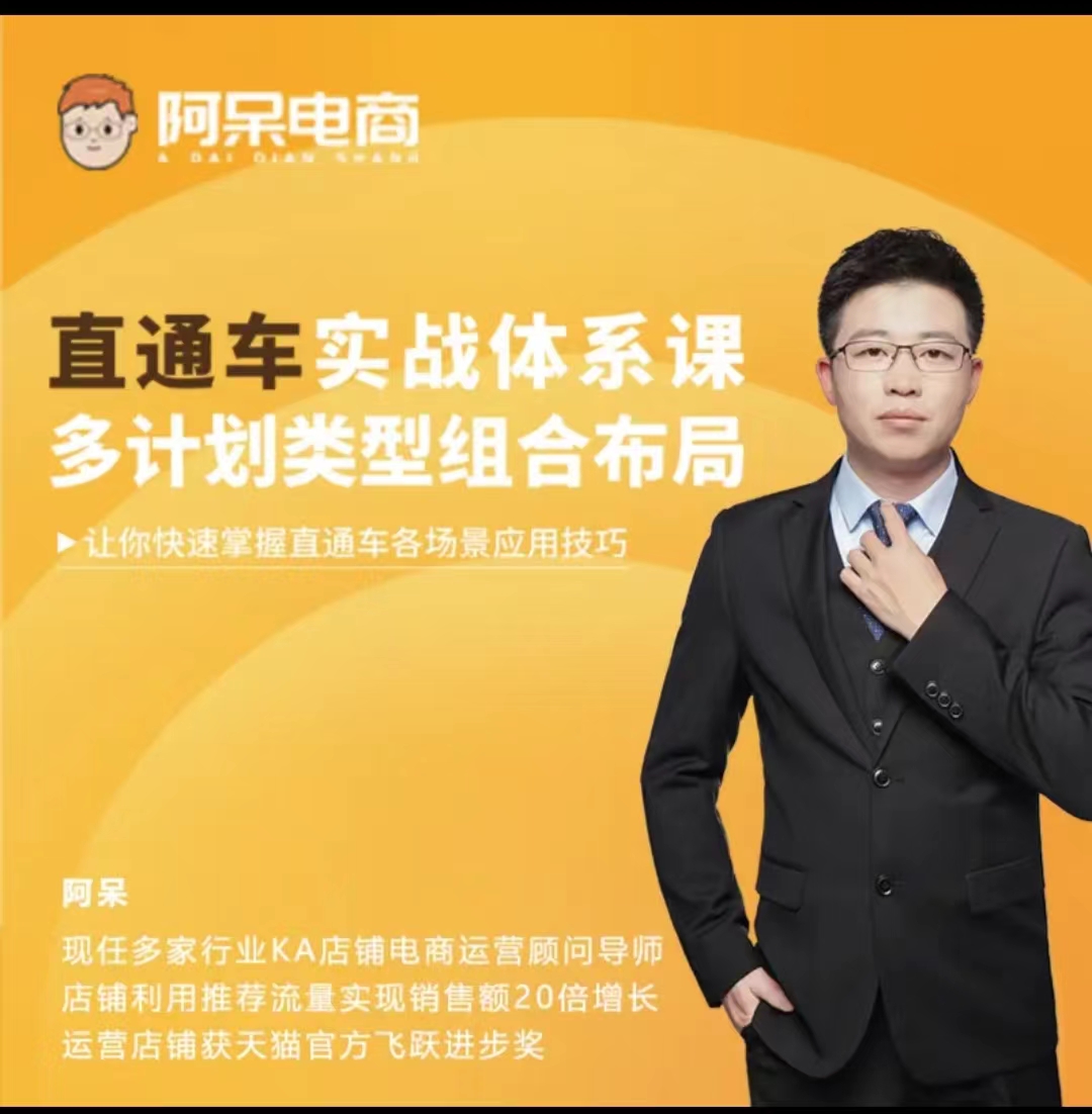 阿呆电商直通车实战体系课 多极化类型组合布局【价值599】
