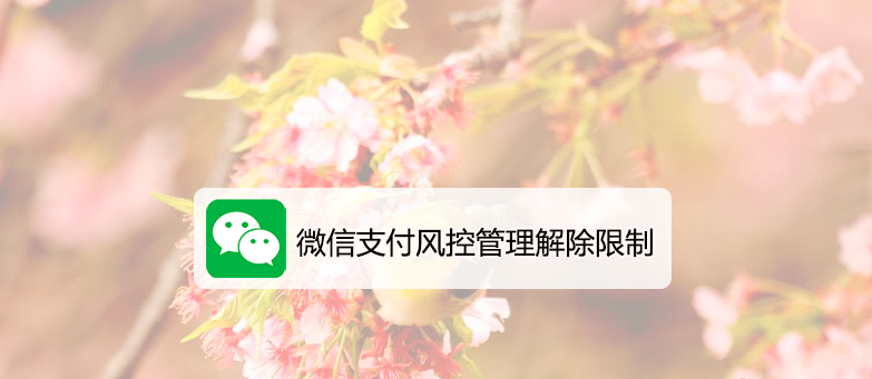 【网创人必看】微信风控管理宝典PDF文档