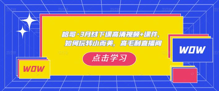 【6294期】哈哥·3月线下实操课高清视频+课件，如何玩转小而美，高毛利直播间