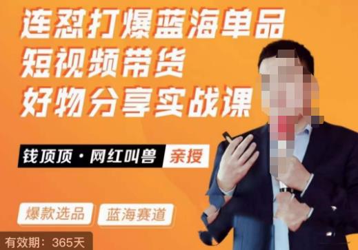 【6322期】网红叫兽·连怼打爆蓝海单品，短视频带货好物分享实战课