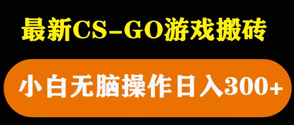 【6433期】最新csgo游戏搬砖游戏，无需挂机小白无脑也能日入300+
