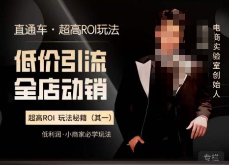 【6586期】电商冰可乐·直通车·《低价引流·全店动销》，直通车·超高ROI玩法（其一）全店动销必学玩法