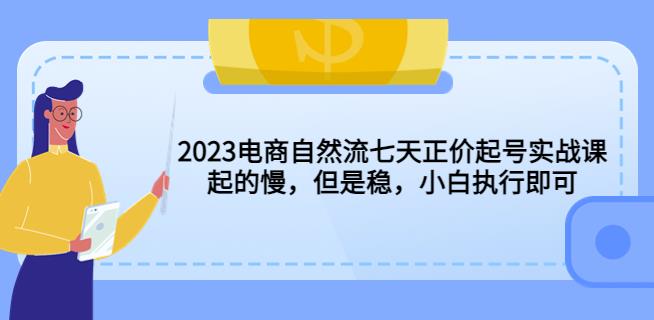 【6605期】2023电商自然流七天正价起号实战课：起的慢，但是稳，小白执行即可！