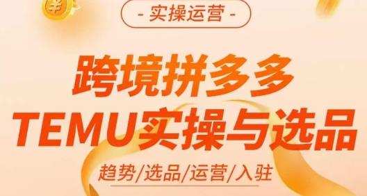 【7208期】伍跃·跨境拼多多TEMU实操与选品，​趋势/选品/运营/入住（27节完整）