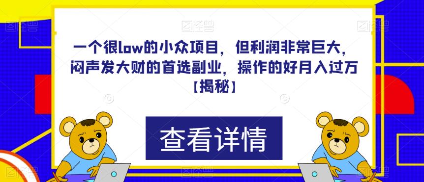 【7294期】一个很low的小众项目，但利润非常巨大，闷声发大财的首选副业，操作的好月入过万【揭秘】