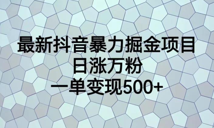 【7434期】最新抖音暴力掘金项目，日涨万粉，一单变现500+【揭秘】