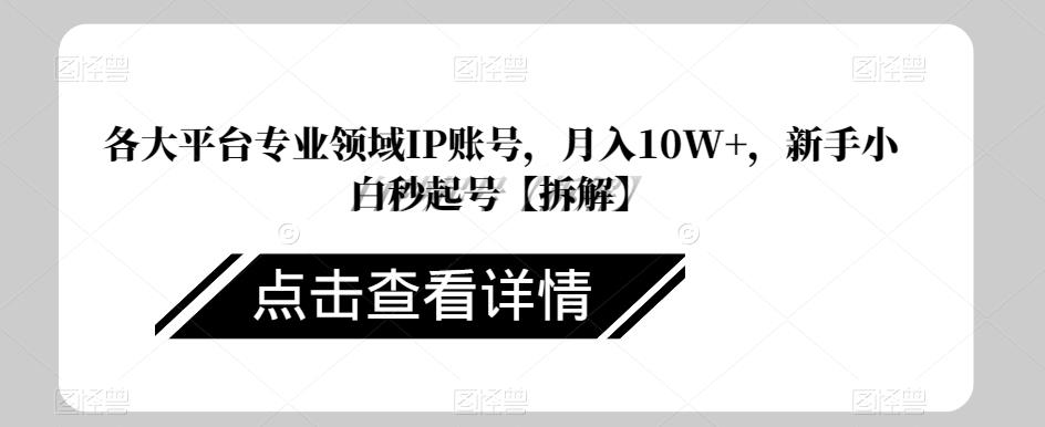 【7626期】各大平台专业领域IP账号，月入10W+，新手小白秒起号【拆解】