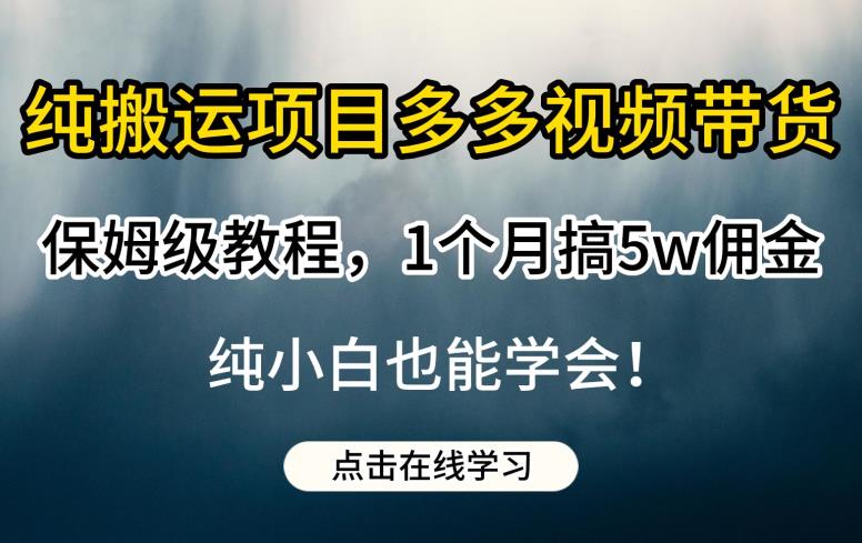 【7639期】纯搬运项目多多视频带货保姆级教程，1个月搞5w佣金，纯小白也能学会【揭秘】