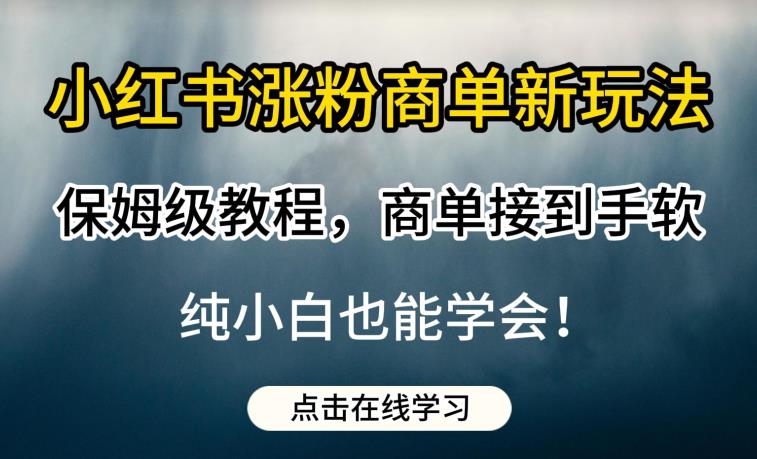 【7699期】小红书涨粉商单新玩法，保姆级教程，商单接到手软，纯小白也能学会【揭秘】