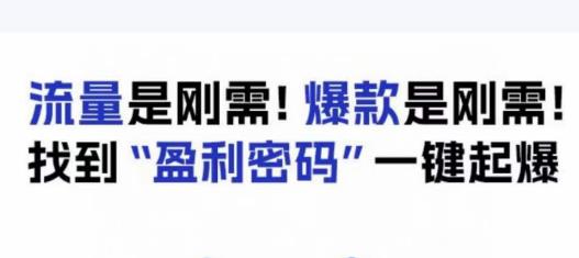 【7872期】电商盈利精品课：6大盈利密码让产品更好卖，流量是刚需！爆款是刚需！找到”盈利密码”一键起爆