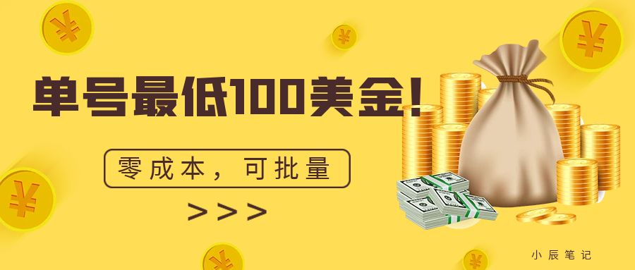 【7915期】单号最低100美金，零成本，小白无脑操作。可复制，可扩大。