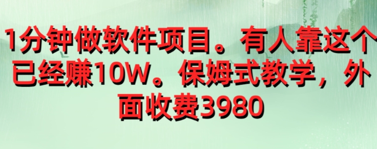 【8780】外面卖3980的1分钟做软件项目，有人靠这个已经赚10W，保姆式教学