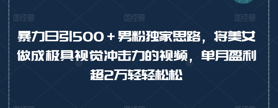 【9002】暴力日引500＋男粉独家思路，将美女做成极具视觉冲击力的视频，单月盈利超2万轻轻松松