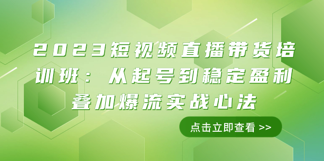 【9499】2023短视频直播带货培训班：从起号到稳定盈利叠加爆流实战心法（11节课）