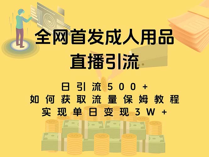 【9919】最新全网独创首发，成人用品直播引流获客暴力玩法，单日变现3w保姆级教程