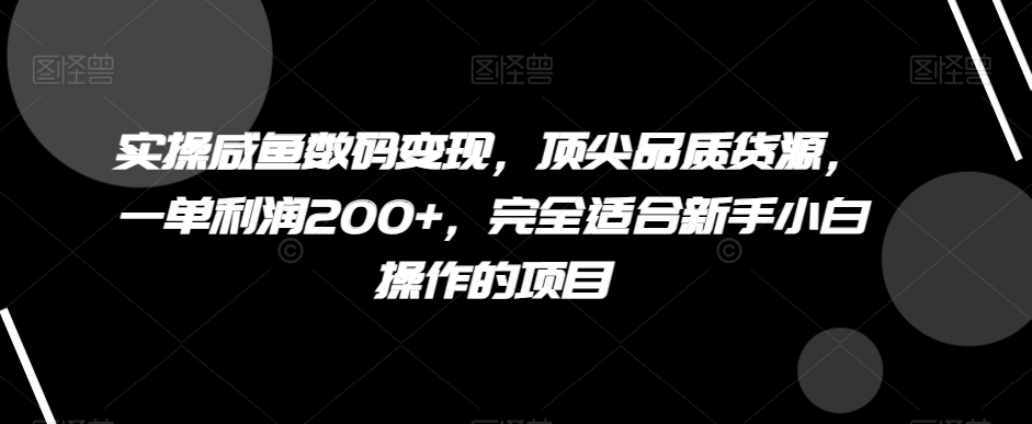 【10062】实操咸鱼数码变现，顶尖品质货源，一单利润200+，完全适合新手小白操作的项目【揭秘】