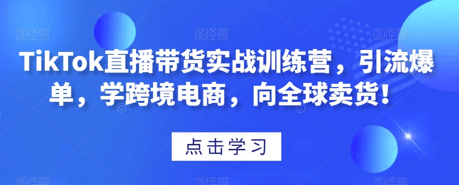【10099】TikTok直播带货实战训练营，引流爆单，学跨境电商，向全球卖货！