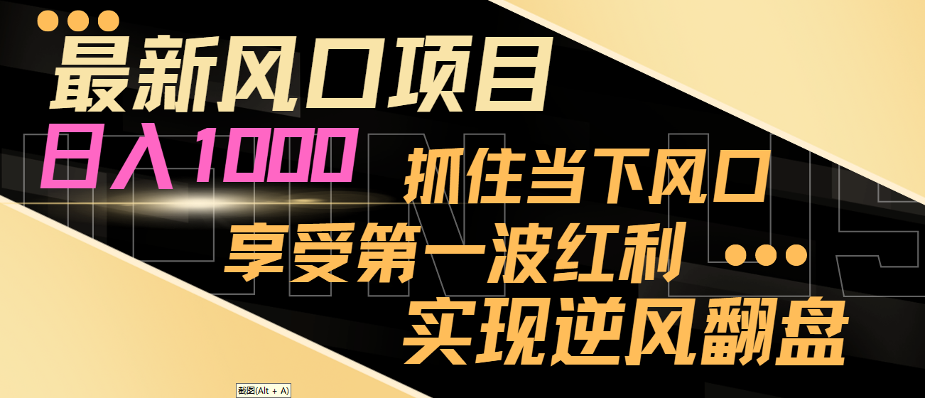 【10325】最新风口项目，日入过千，抓住当下风口，享受第一波红利，实现逆风翻盘