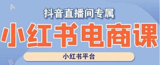 【10344】小红书电商高级运营课程，实操教学+案例分析