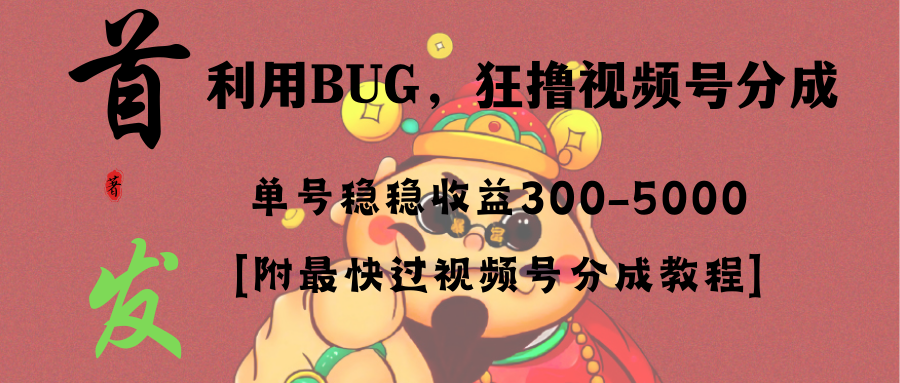 【10393】全网独家首发，视频号BUG，超短期项目，单号每日净收益300-5000！