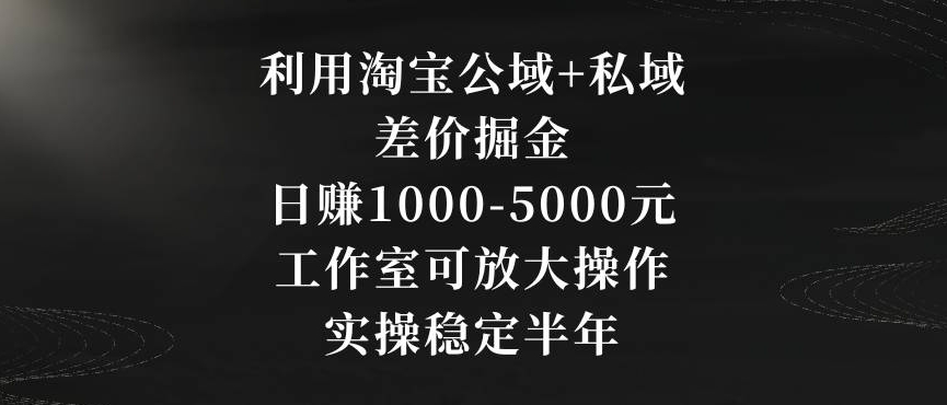 【10949】利用淘宝公域+私域差价掘金，日赚1000-5000元，工作室可放大操作，实操稳定半年【揭秘】