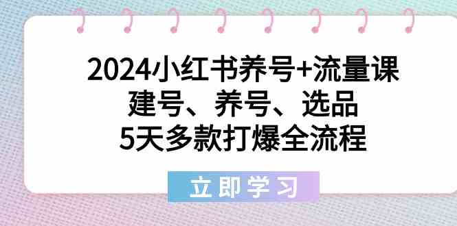 【10986】2024小红书养号+流量课：建号、养号、选品，5天多款打爆全流程