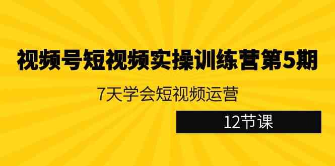 【11079】视频号短视频实操训练营第5期：7天学会短视频运营（12节课）