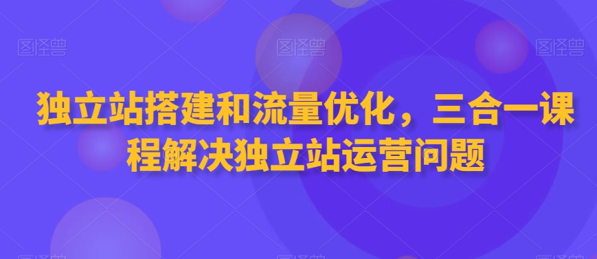 【11238】独立站搭建和流量优化，三合一课程解决独立站运营问题