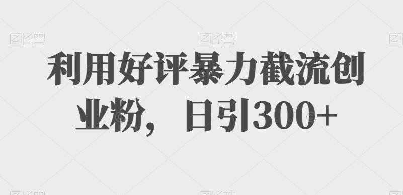 【11261】利用好评暴力截流创业粉，日引300+
