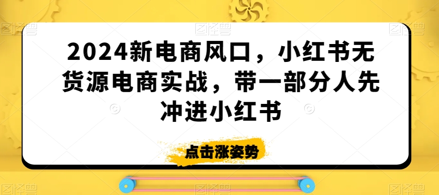 【11273】2024新电商风口，小红书无货源电商实战，带一部分人先冲进小红书