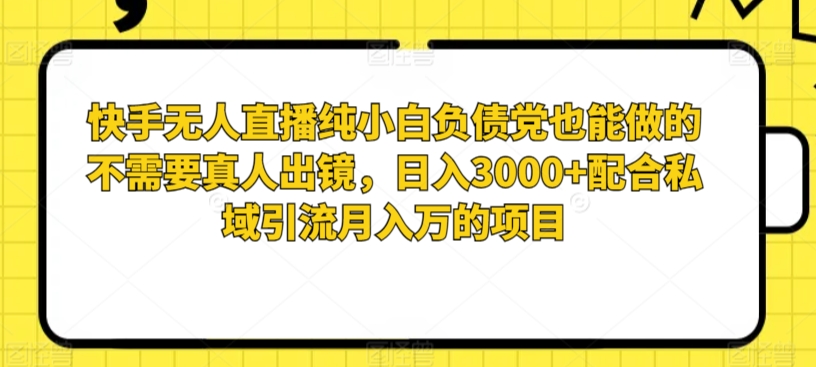 【11393】快手无人直播纯小白负债党也能做的不需要真人出镜，日入3000+配合私域引流月入万的项目