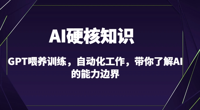 【11623】AI硬核知识-GPT喂养训练，自动化工作，带你了解AI的能力边界（10节课）