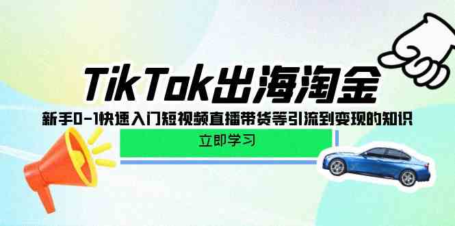 【12160】TikTok-出海淘金，新手0-1快速入门短视频直播带货等引流到变现的知识