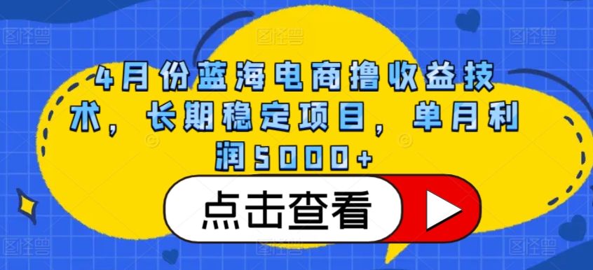 【12195】4月份蓝海电商撸收益技术，长期稳定项目，单月利润5000+【揭秘】