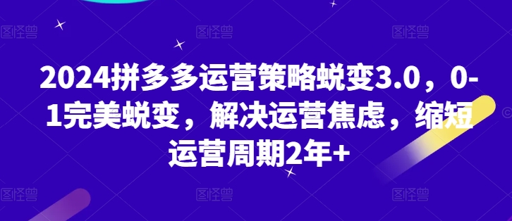 【13063】2024拼多多运营策略蜕变3.0，0-1完美蜕变，解决运营焦虑，缩短运营周期2年+