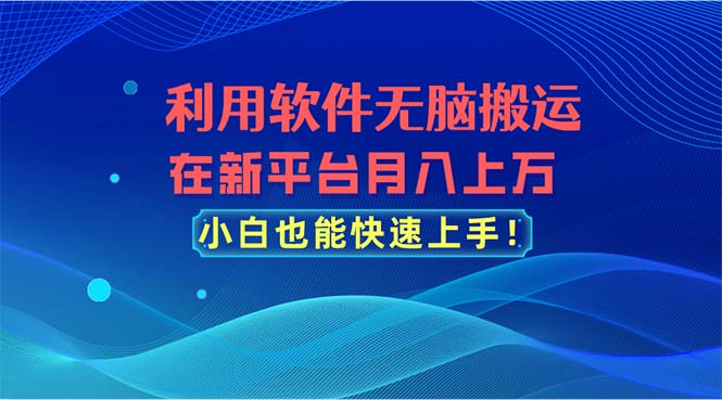【13151】利用软件无脑搬运，在新平台月入上万，小白也能快速上手