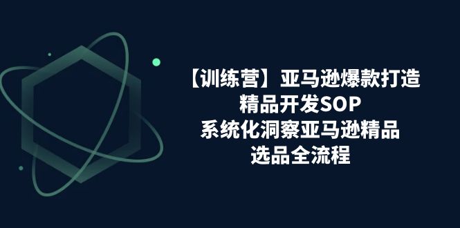 【13224】【训练营】亚马逊爆款打造之精品开发SOP，系统化洞察亚马逊精品选品全流程