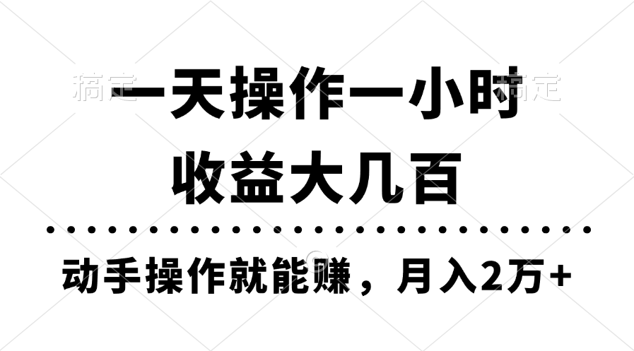 【13268】一天操作一小时，收益大几百，动手操作就能赚，月入2万+教学