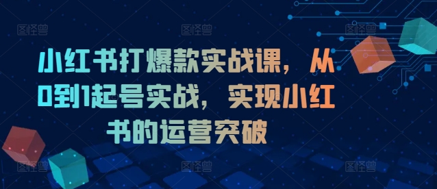 【14153】小红书打爆款实战课，从0到1起号实战，实现小红书的运营突破