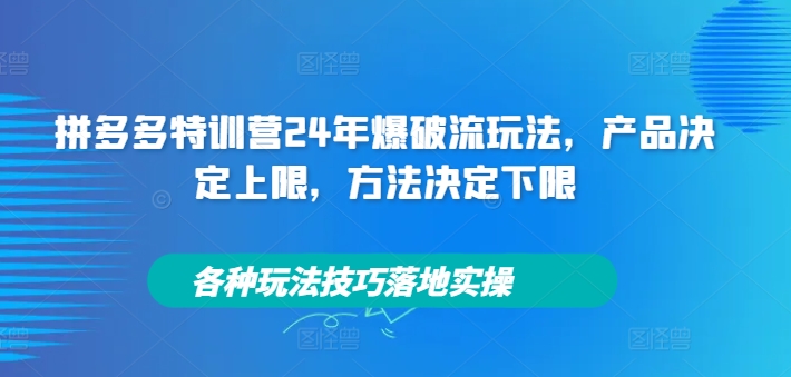【14338】拼多多特训营24年爆破流玩法，产品决定上限，方法决定下限，各种玩法技巧落地实操