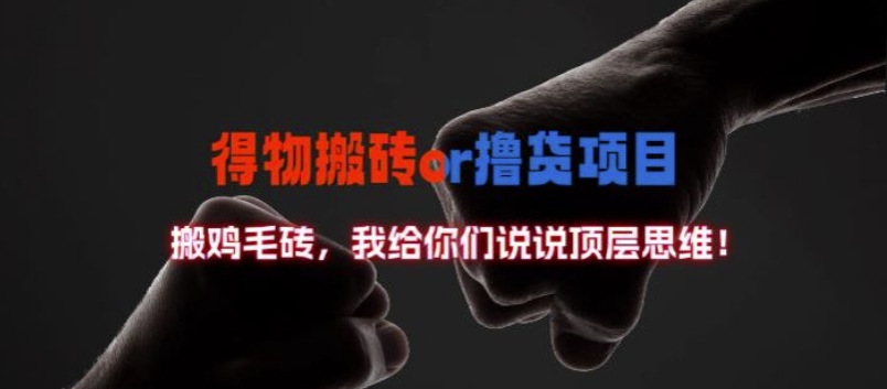 【14360】得物搬砖撸货项目?掰下数据，我给你们说说顶层思维【揭秘】