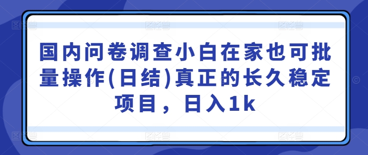 【14453】国内问卷调查小白在家也可批量操作(日结)真正的长久稳定项目，日入1k【揭秘】