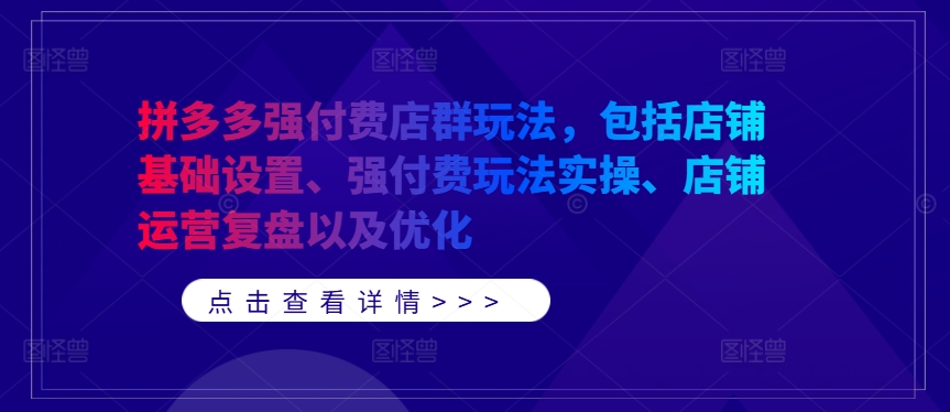 【14539】拼多多强付费店群玩法，包括店铺基础设置、强付费玩法实操、店铺运营复盘以及优化