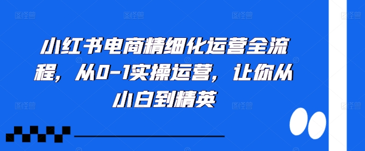 【14997】小红书电商精细化运营全流程，从0-1实操运营，让你从小白到精英
