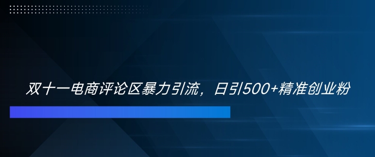 【15065】双十一电商评论区暴力引流，日引500+精准创业粉【揭秘】