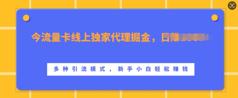 【15121】流量卡线上独家代理掘金，日入1k+ ，多种引流模式，新手小白轻松上手【揭秘】