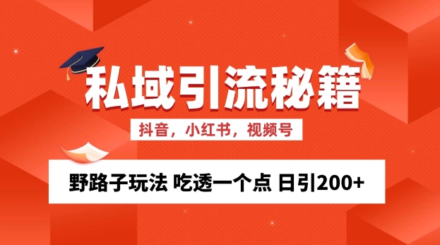 【15220】私域流量的精准化获客方法 野路子玩法 吃透一个点 日引200+ 【揭秘】