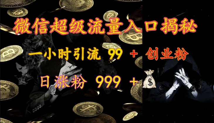 【15302】微信超级流量入口揭秘：一小时引流 99 + 创业粉，日涨粉 999 +
