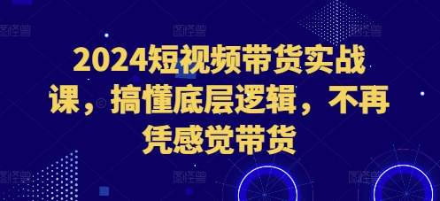 【15659】2024短视频带货实战课，搞懂底层逻辑，不再凭感觉带货
